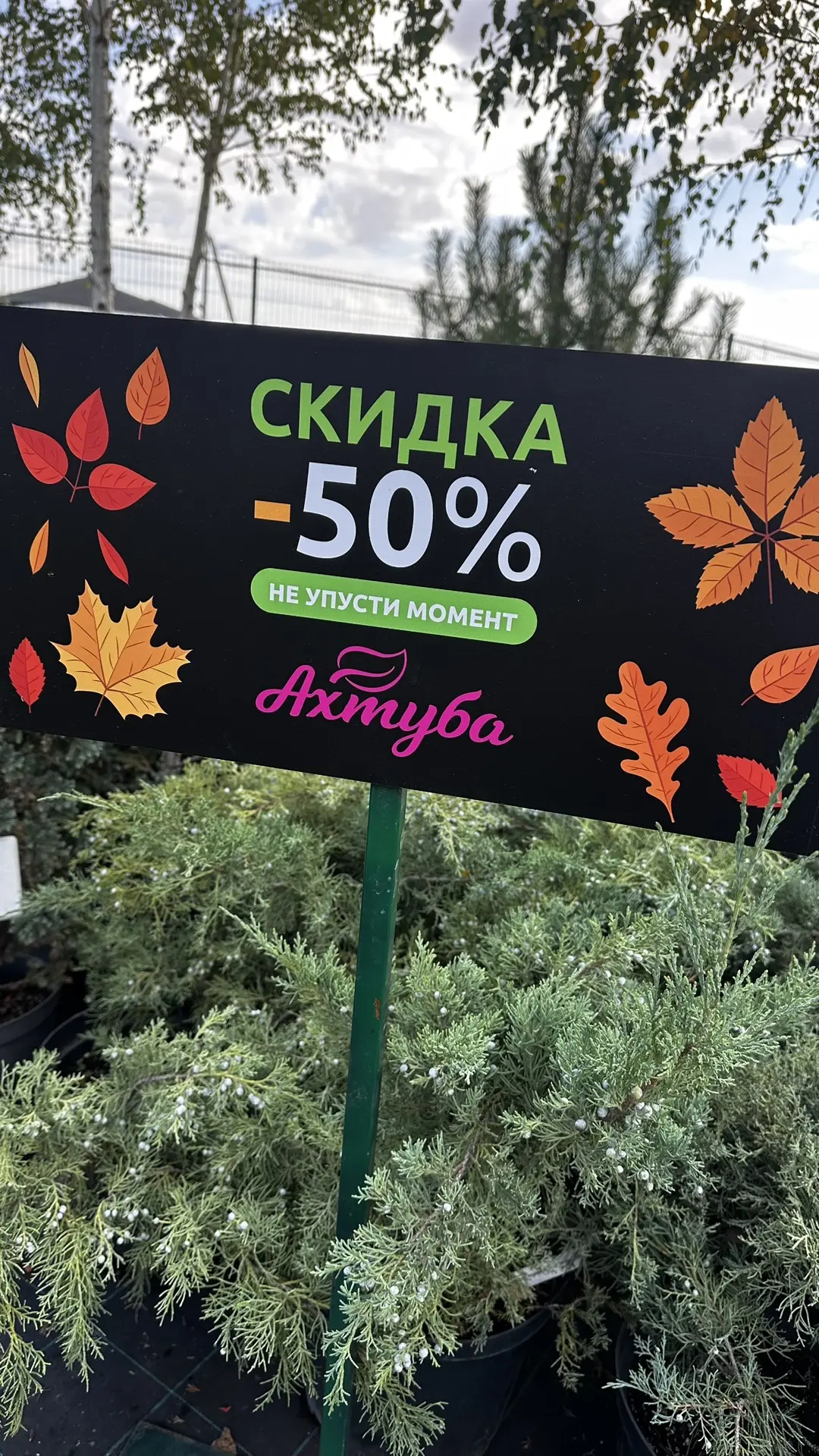 отвечаем на Ваши многочисленные вопросы :