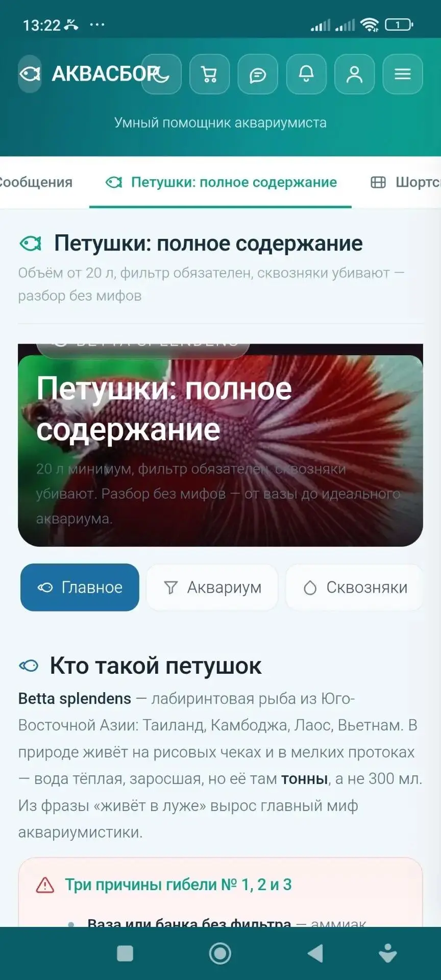 ЗАГРУЖАЕМСЯ НА РУСТОР ПОЖЕЛАЙТЕ НАМ УДАЧИ