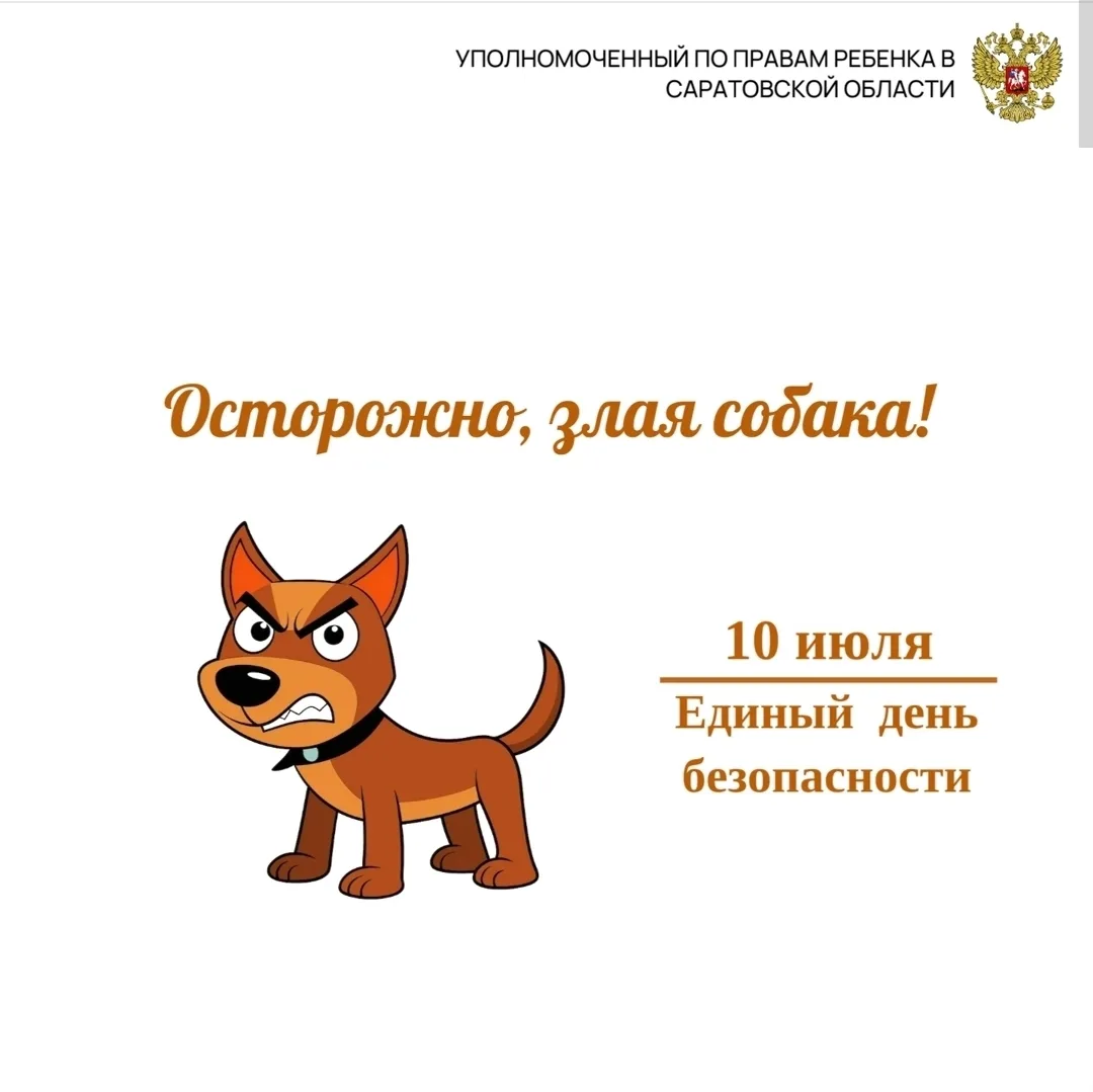 Осторожно, злая собака🐕