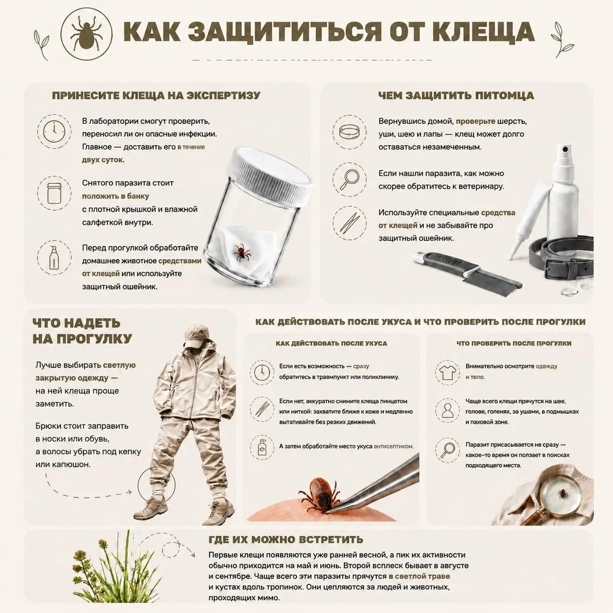 🌲 Осторожно, клещи!