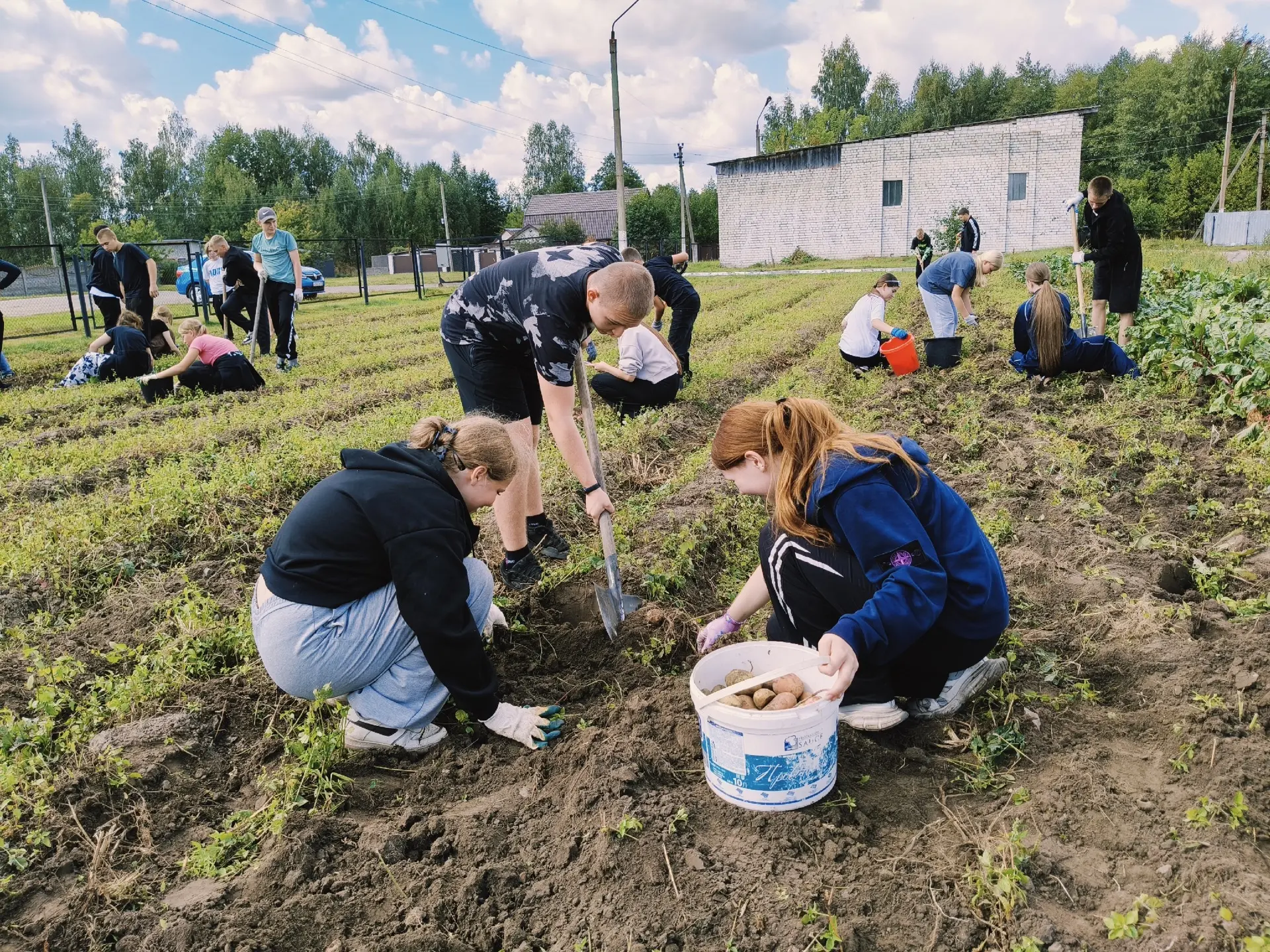 🍁 Когда руки вместе — дело спорится! 🍁