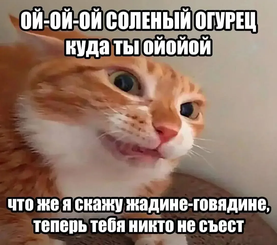 Писоть какыть и спать