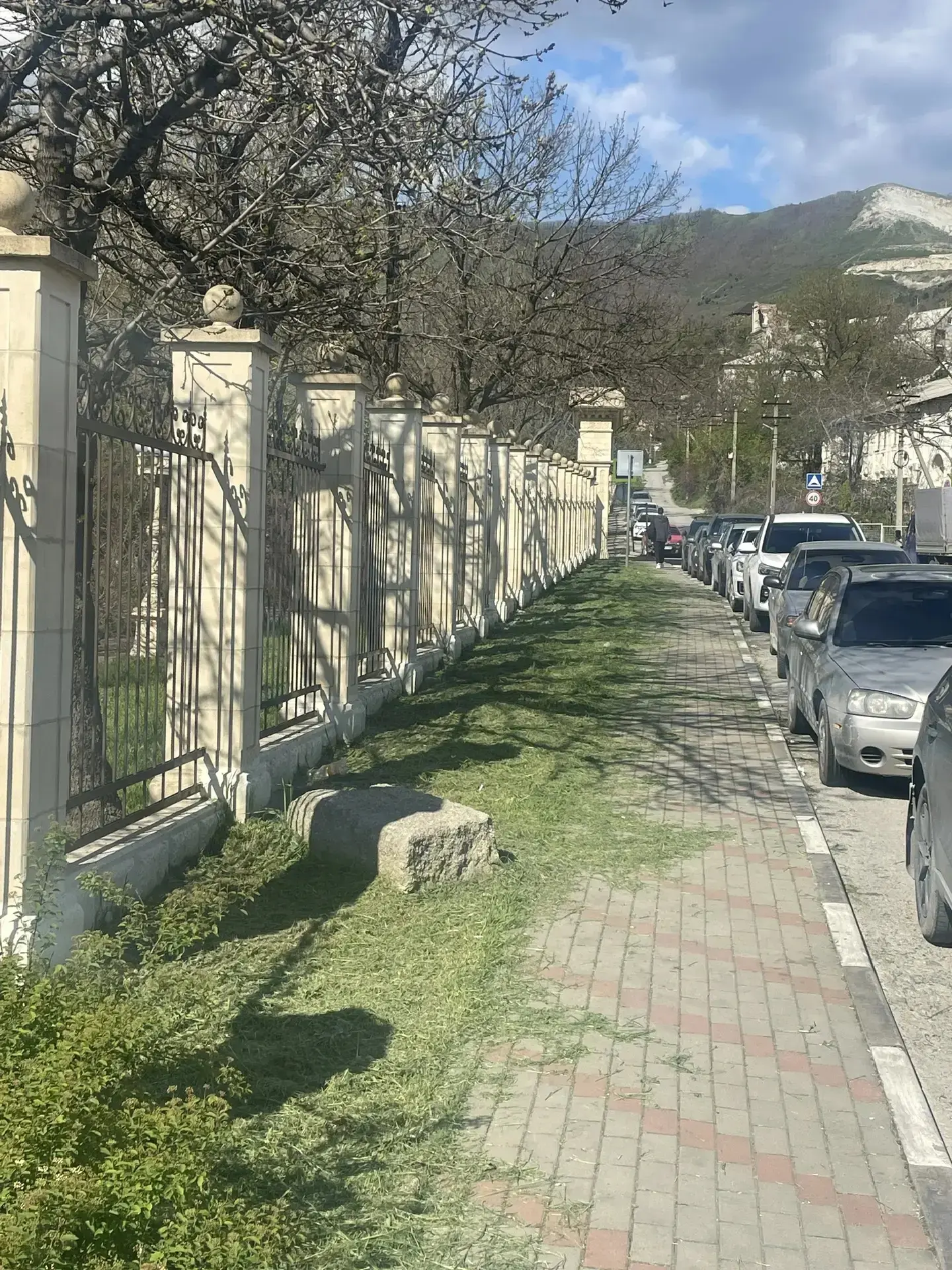 На территории Восточного района проводят работы по покосу сорной растительности.    *Для покоса испо