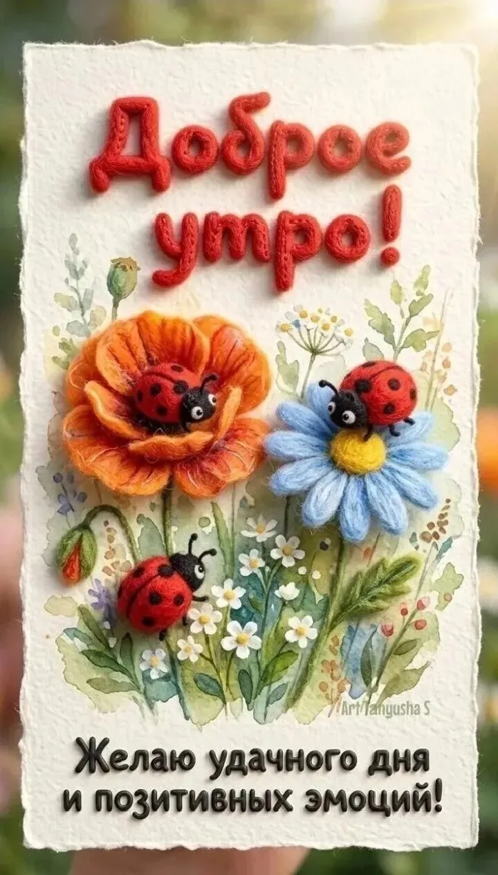 Доброе утро 🌺🌺🌺хорошего дня 🫠🌺📚