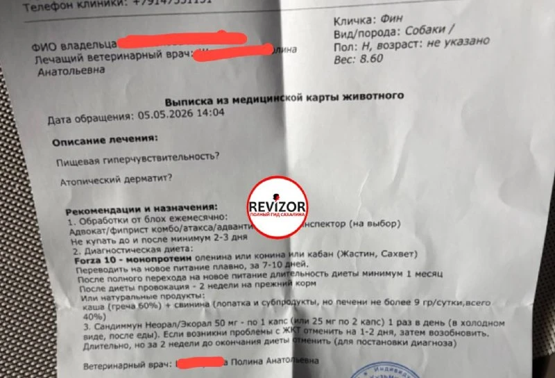 Обращались к дерматологу с французским бульдогом, который весь чесался. 5.05.  Без соскоба и анализа