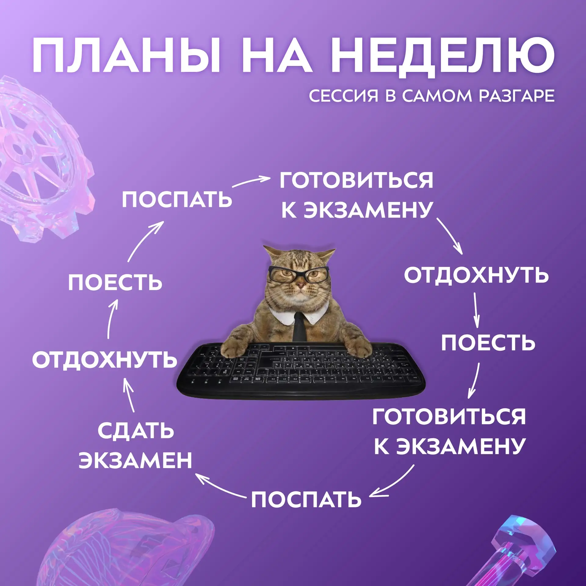 ⭐️ Сессия постепенно захватывает все свободное время, поэтому описать эту неделю без такой карточки 