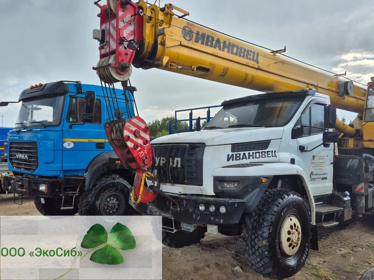 Вакансия
✅ Машинист (водитель) автокрана
✅ Водитель КМУ
Ханты-Мансийский автономный округ — Югра (ХМ