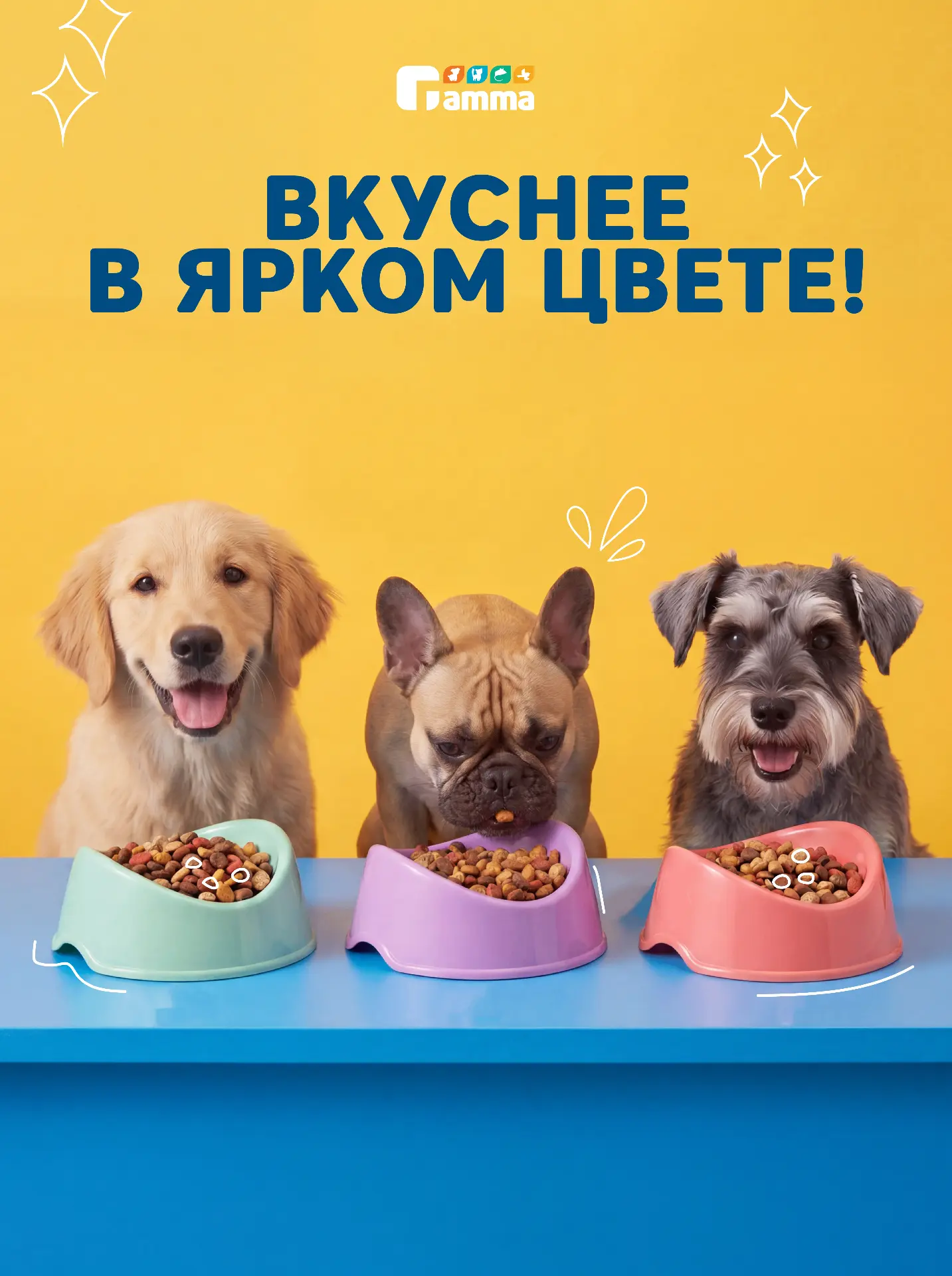Превращаем обед хвостика в праздник! 🌈🐾