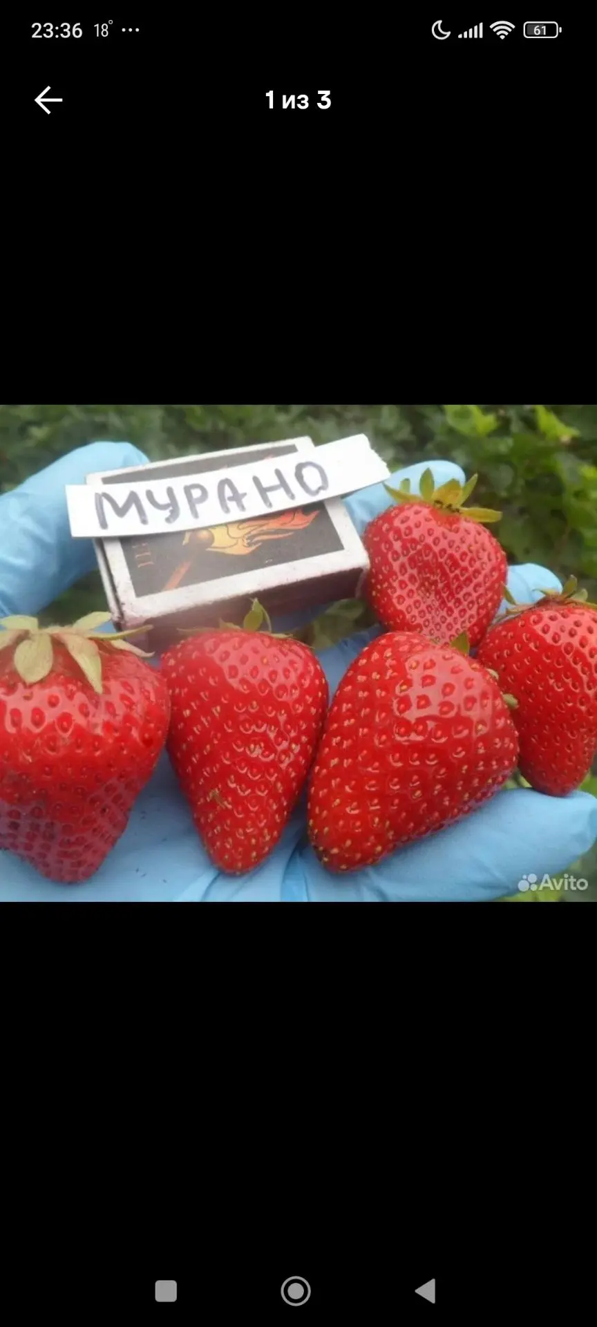 🍓КЛУБНИКА МУРАНО
