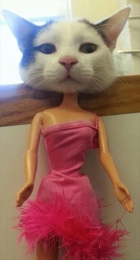 Удачный кадр )