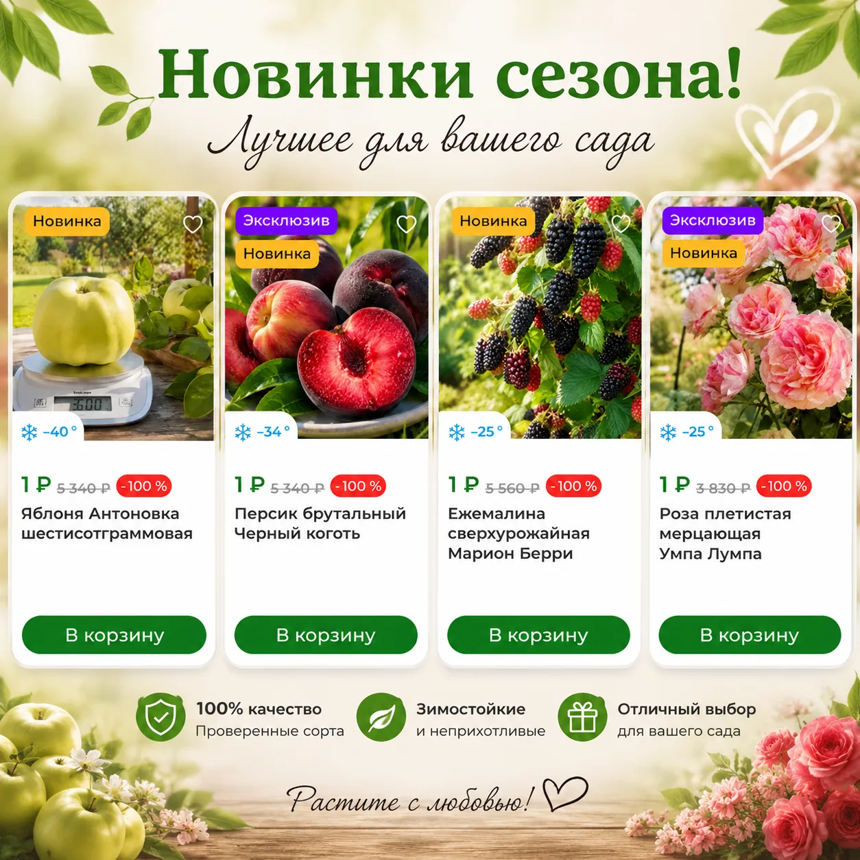 ШОК!