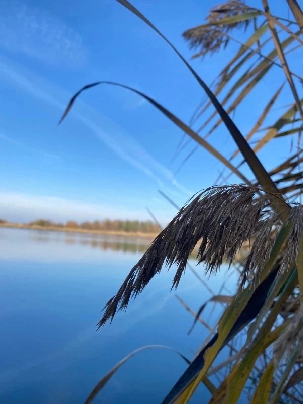☀️ Доброе утро, уважаемые жители Гулькевичского района!
