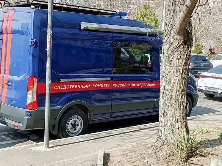 Жительницу Краснодара обвинили в участии в сообществе, похитившем более 1,1 млн рублей