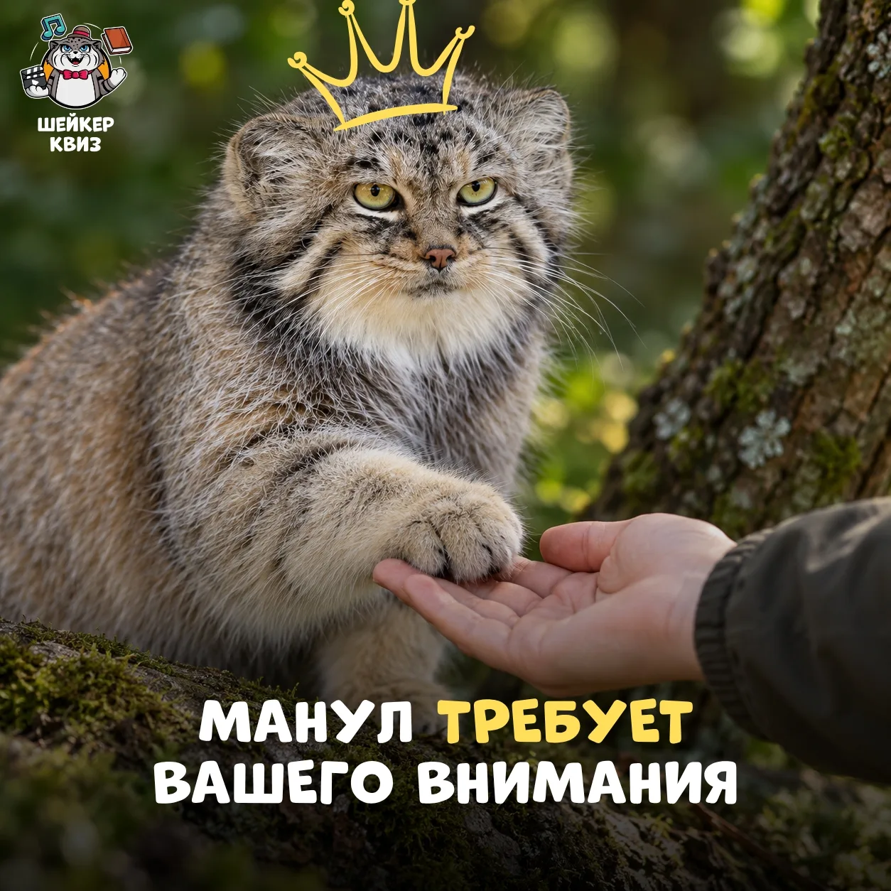 И сегодня у него на это есть официальный повод 👀