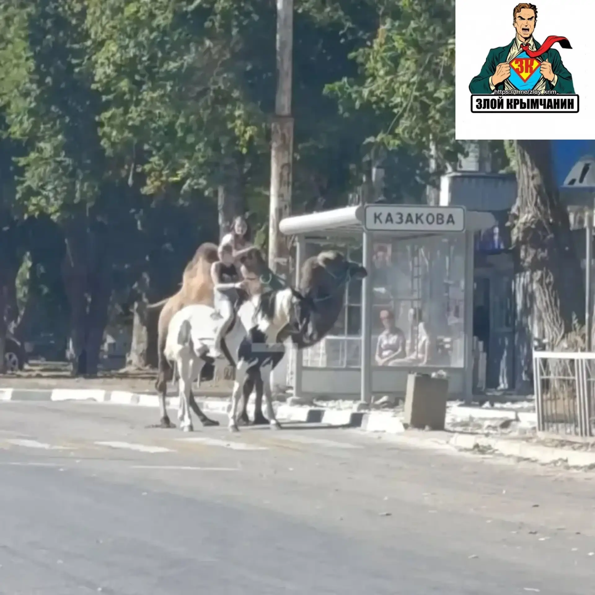 Когда пересел на более экономичный транспорт 😎 Керчь.