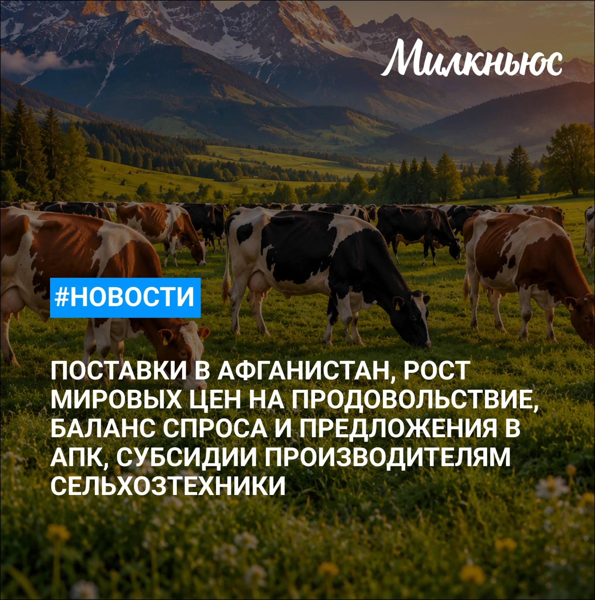 🐮 Мировые цены на продовольствие в сентябре выросли на 1,5%