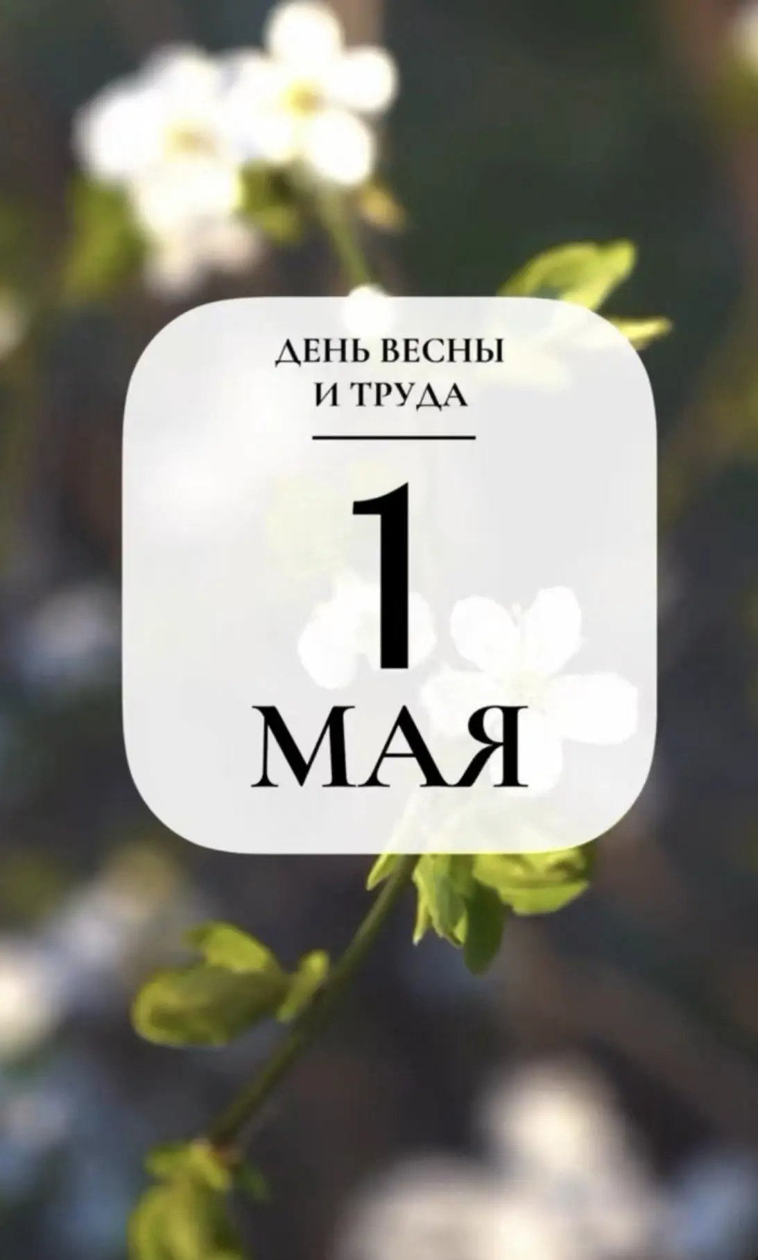 Друзья!