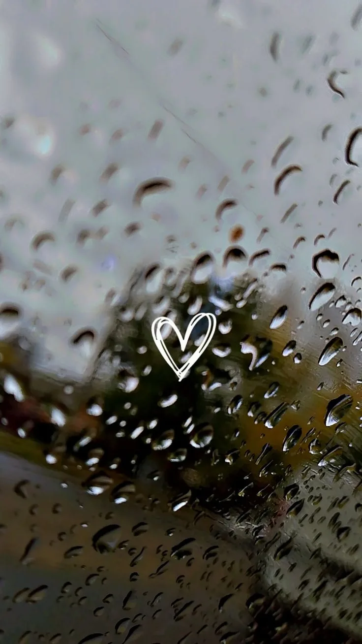 Прогноз погоды в Хабаровске на 26 июля 🌧️