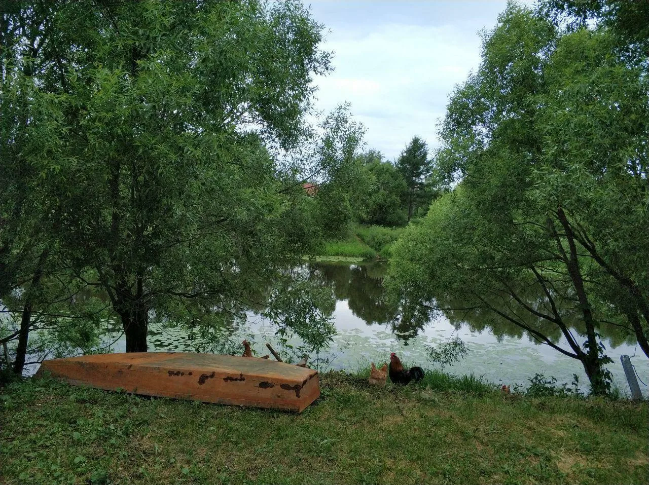 Гаражи, огороды и свалки: в Тюменской области фиксируют массовые нарушения на лесных участках

Инспе