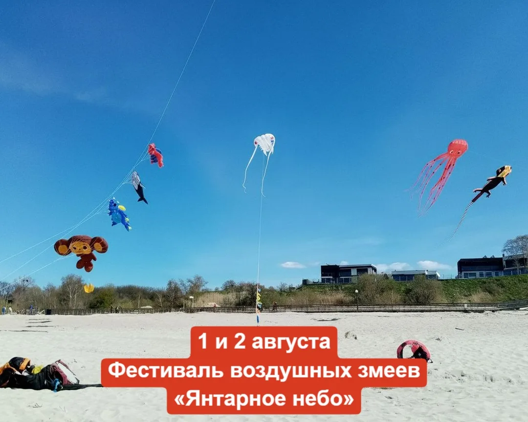 1 и 2 августа, воскресенье
🔔Время начала в 14:00, пос. Янтарный, на центральном пляже в районе ада