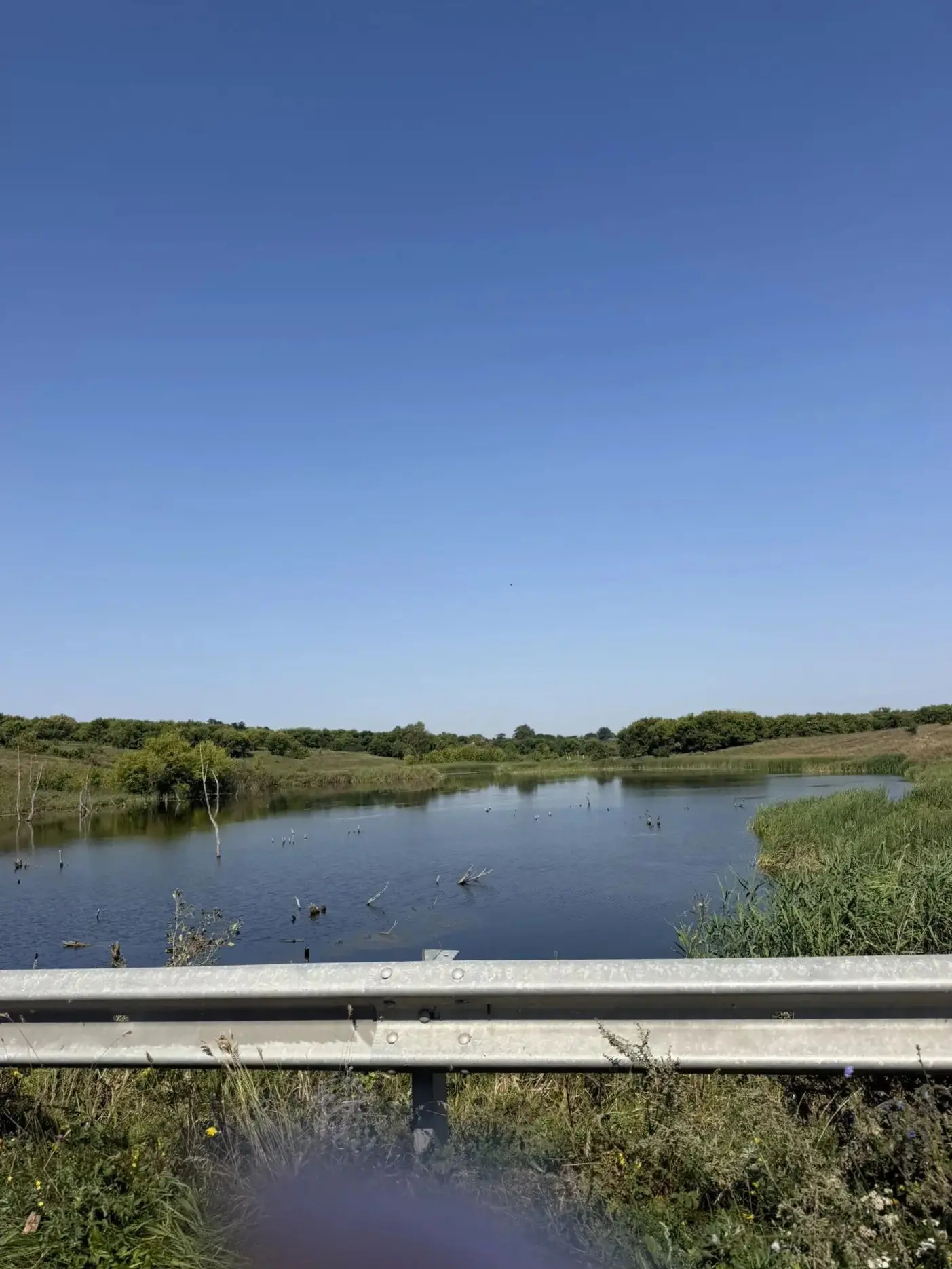 ☀️ Доброе утро! Погода в Курской области в течение ближайших дней будет отличаться стаб...