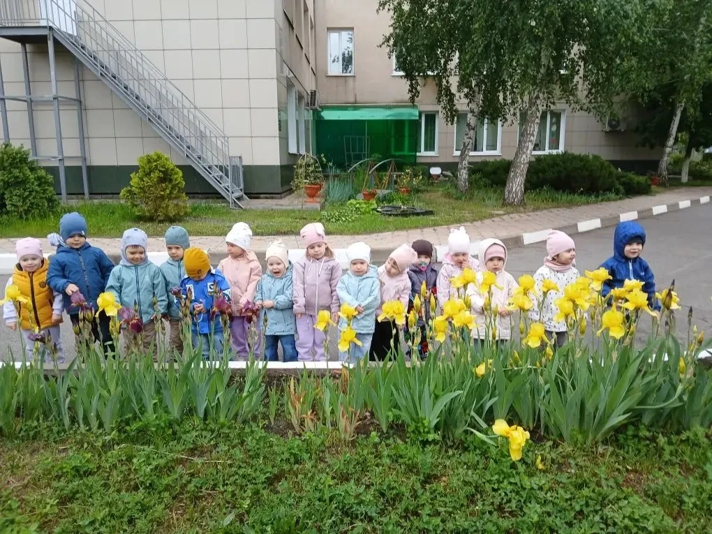 Наблюдение за цветами.