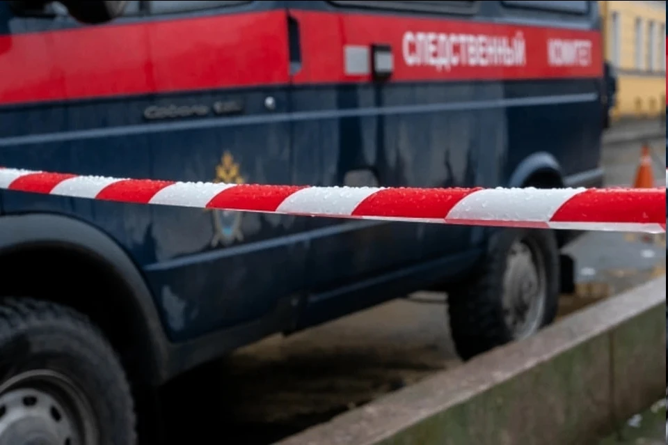 В Запорожской области ребенок погиб