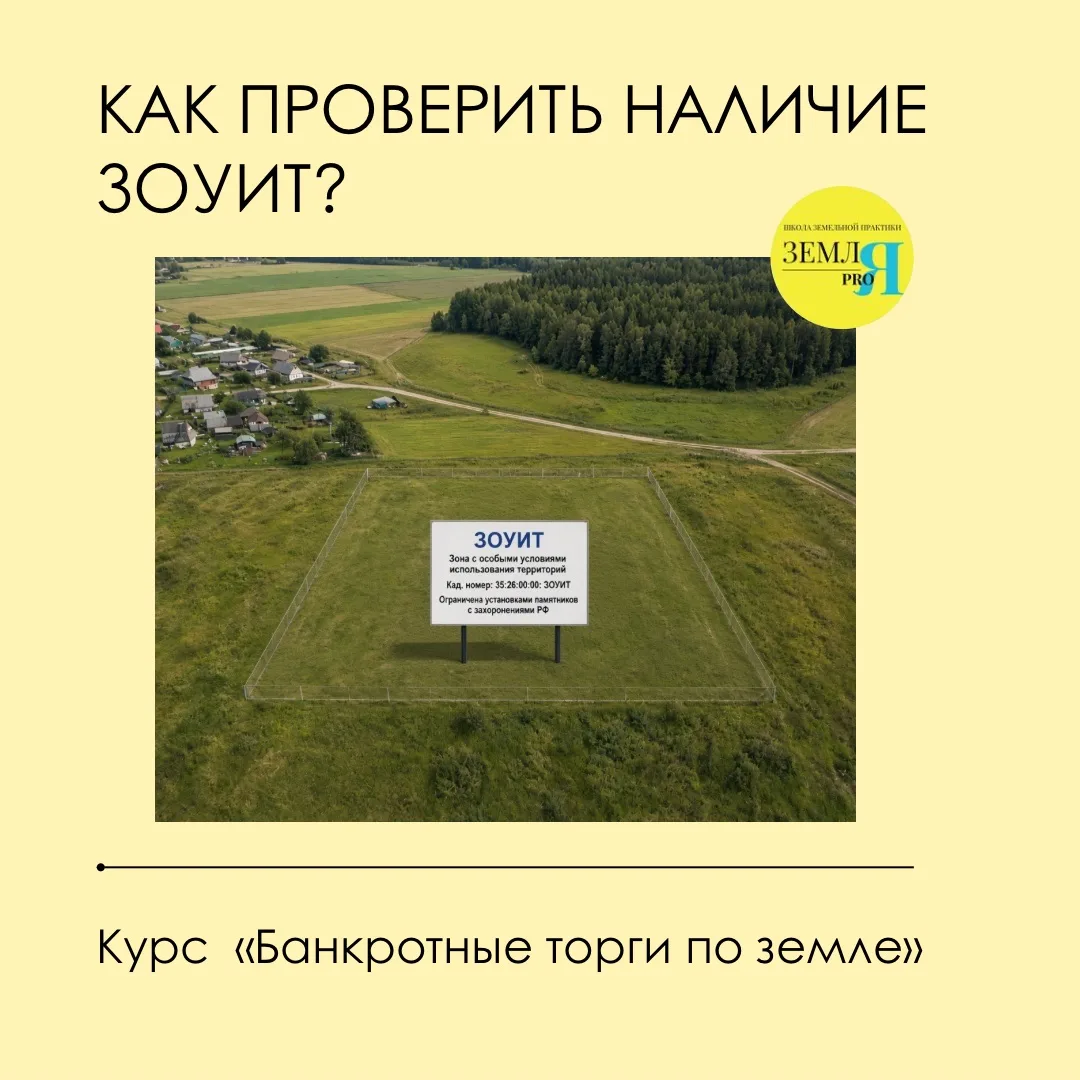 Как бы не взять «кота в мешке» 🐱