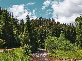 5️⃣ экотроп рядом с Нижним, куда стоит выбраться на выходных