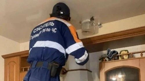 Спасатели Башкирии освободили стрижа 
 
В Уфимском районе спасатели помогли стрижу, застрявшему в кв