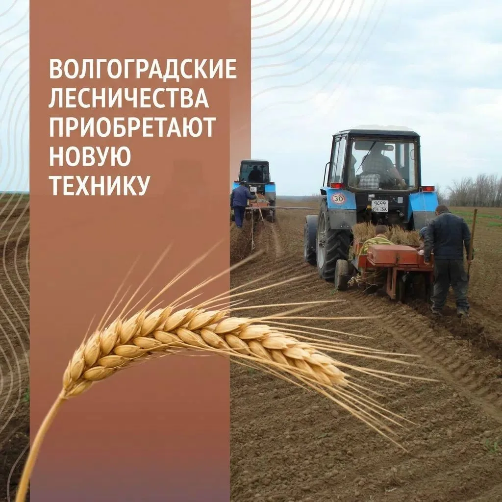 Волгоградские лесничества приобретают новую технику 🚜