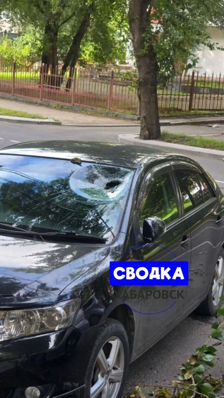 ❗️Разбило автомобили ветками