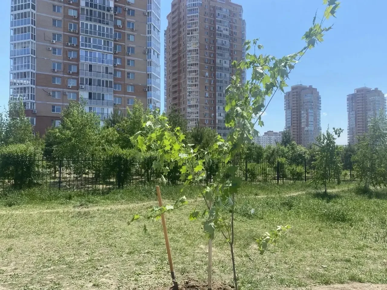 Благоустройством города отметили День России и предстоящий День строителя представители стройотрасли