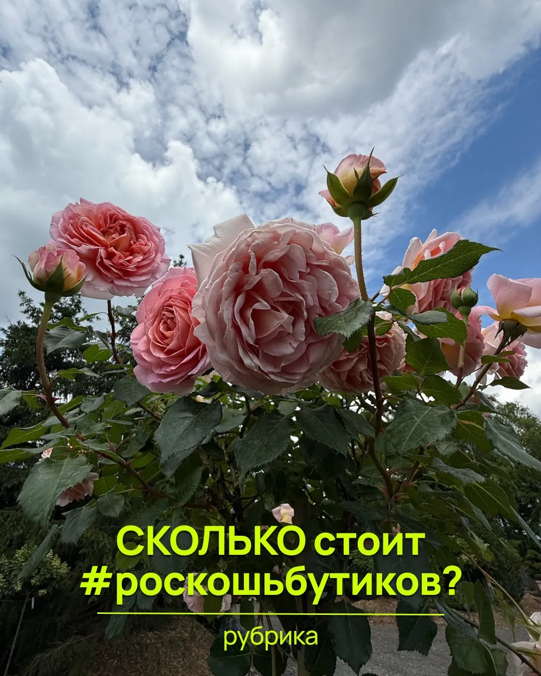 СКОЛЬКО же стоит #роскошьбутиков? 🥳

Татьяна Ж. снимает нам много контента, и вот мы обнаружили так