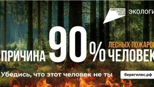 «Антипожары 2026»: как каждый может помочь лесу?
Знаете ли вы, что большинство лесных пожаров начина