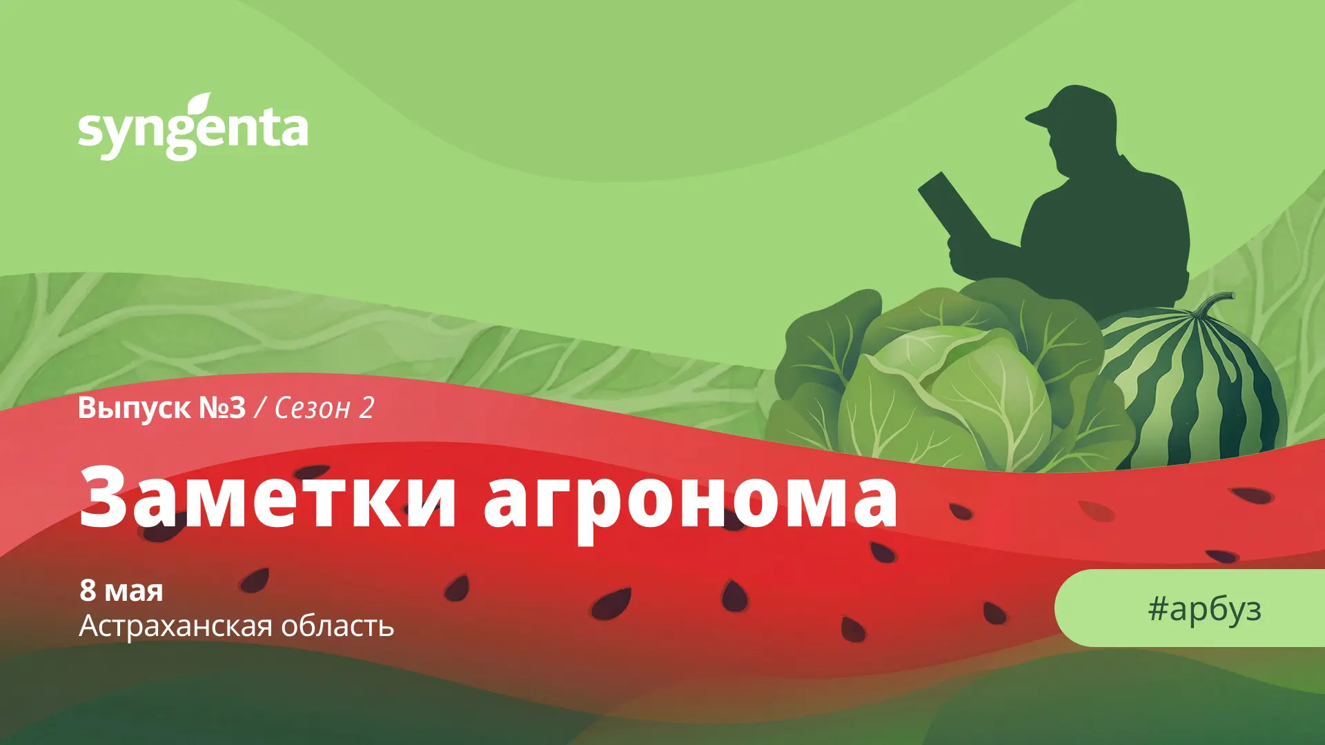 #ЗаметкиАгронома2026 #Сингента #арбуз