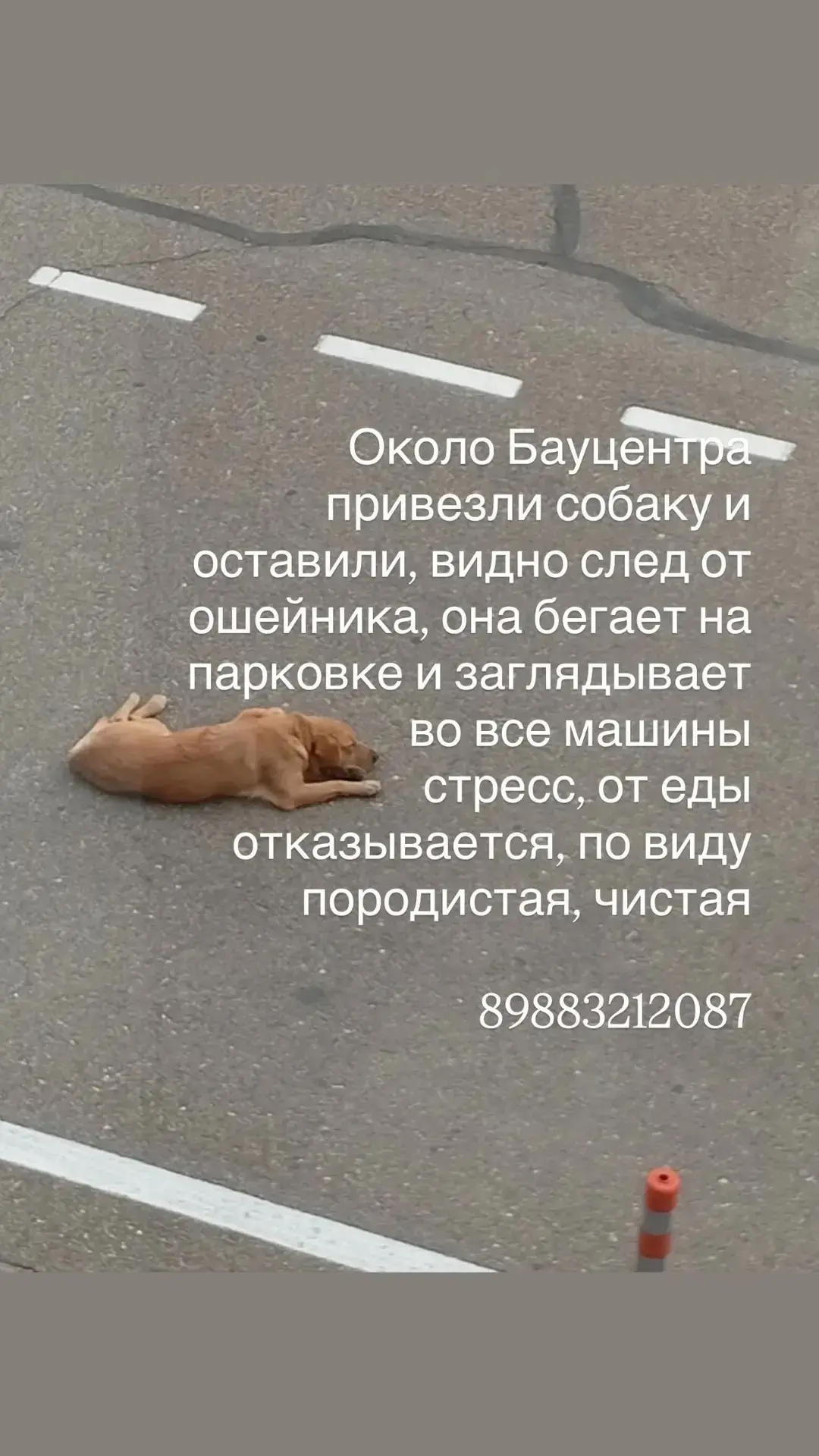 🔔Подпишись
