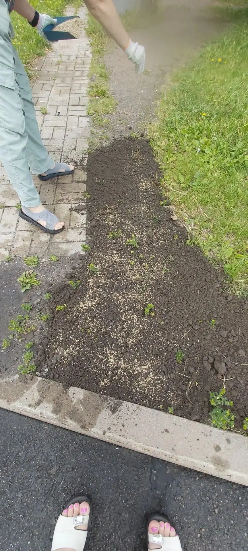 Завоз земли, засев травы - Рыбацкий проспект дом 51/1🌱