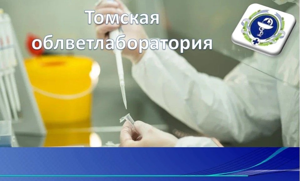 Внимание!