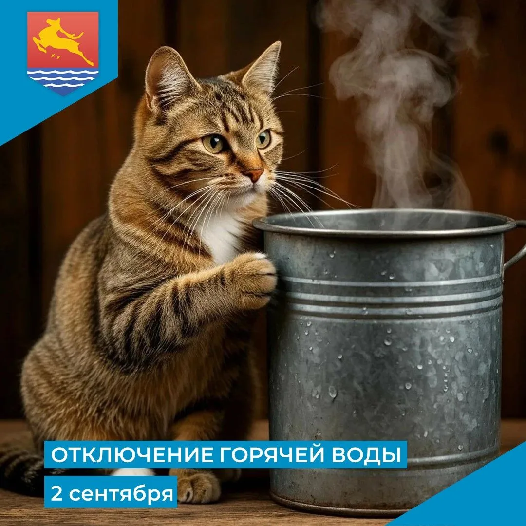 МУП г. Магадана «Магадантеплосеть» сообщает, что 2 сентября для проведения ремонтных ра...