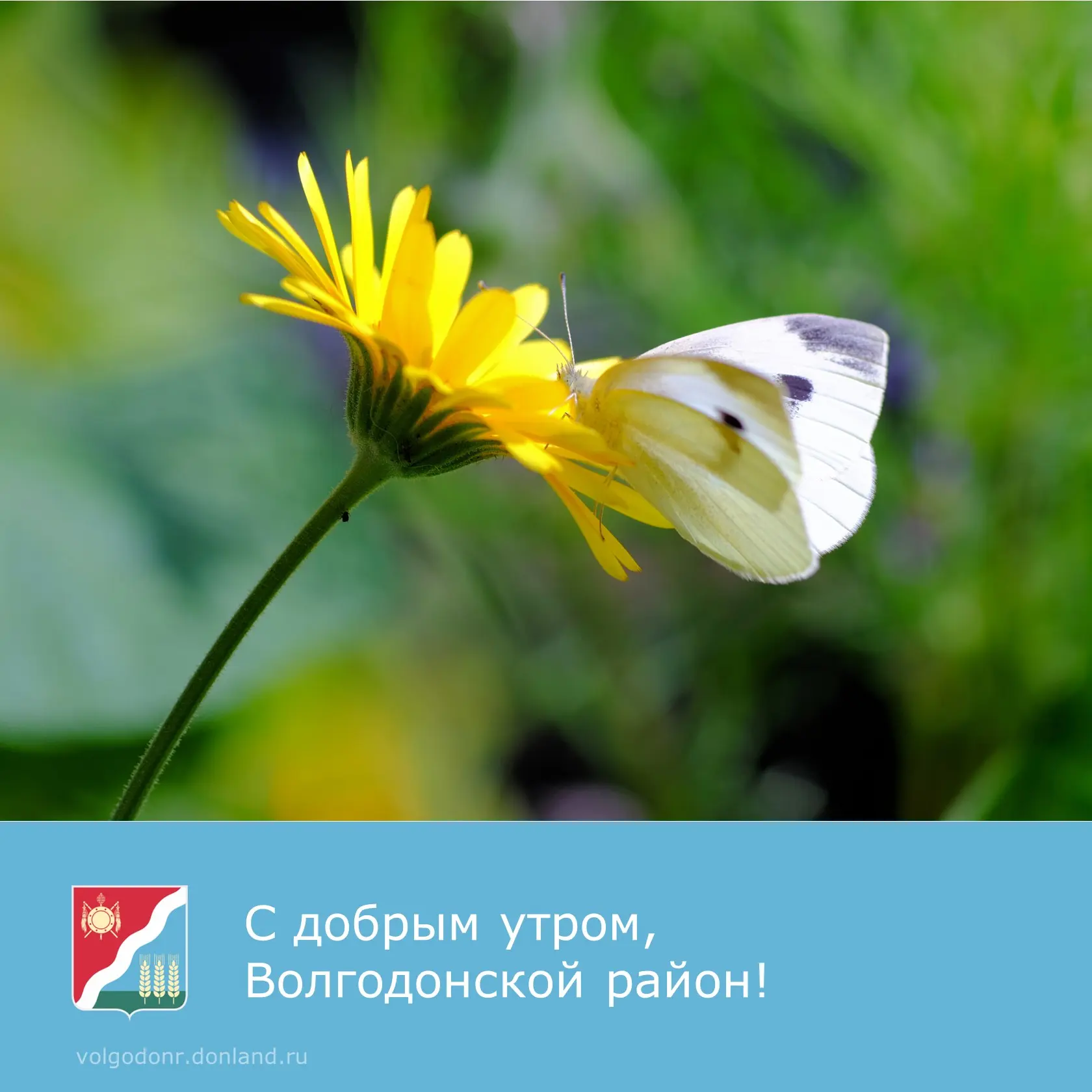 ✨Доброе утро, уважаемые жители и гости Волгодонского района!

 🌷Желаем позитивных моментов и солнеч