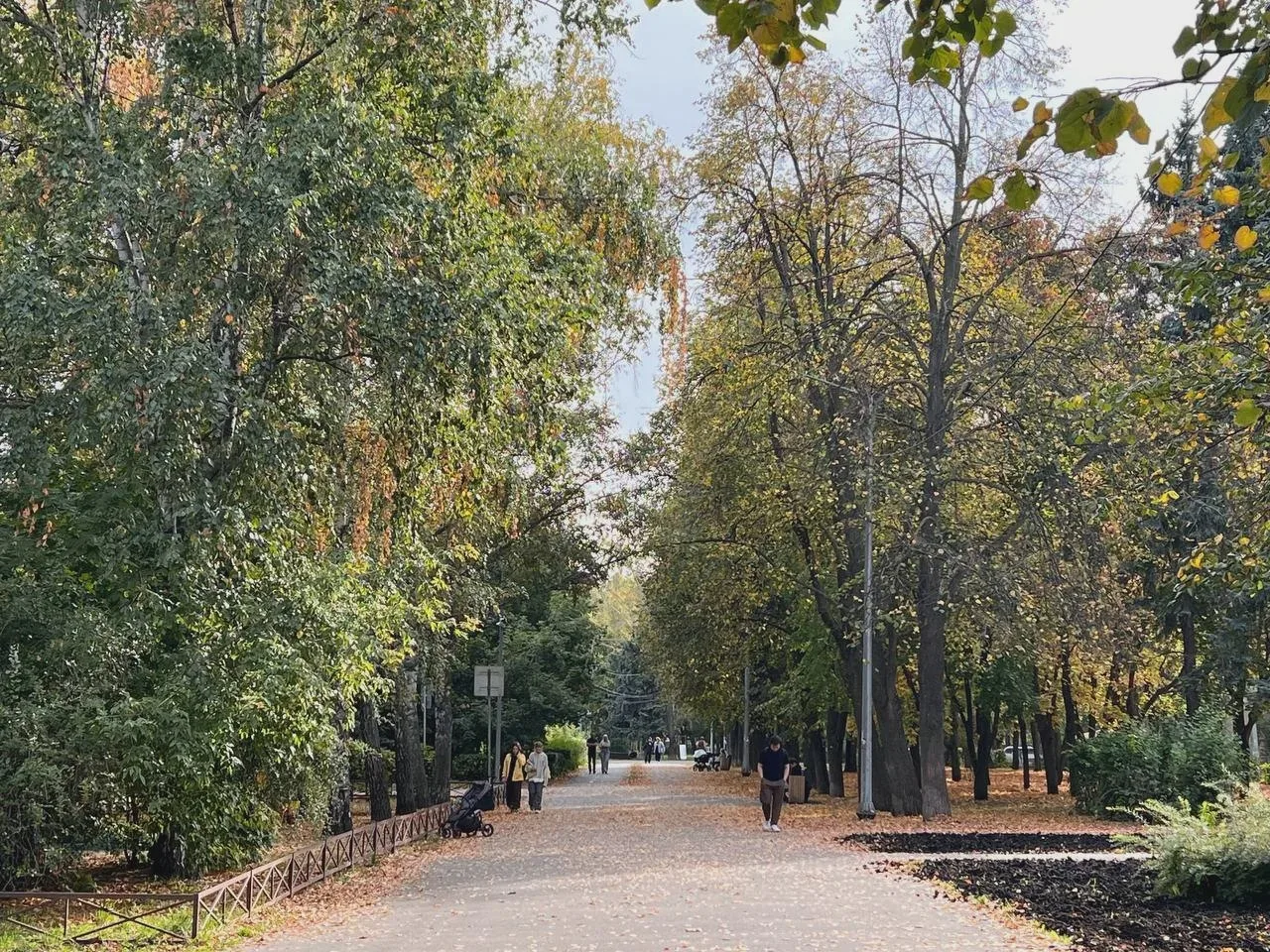 🌧 В Ульяновске днём мокрый снег с дождём