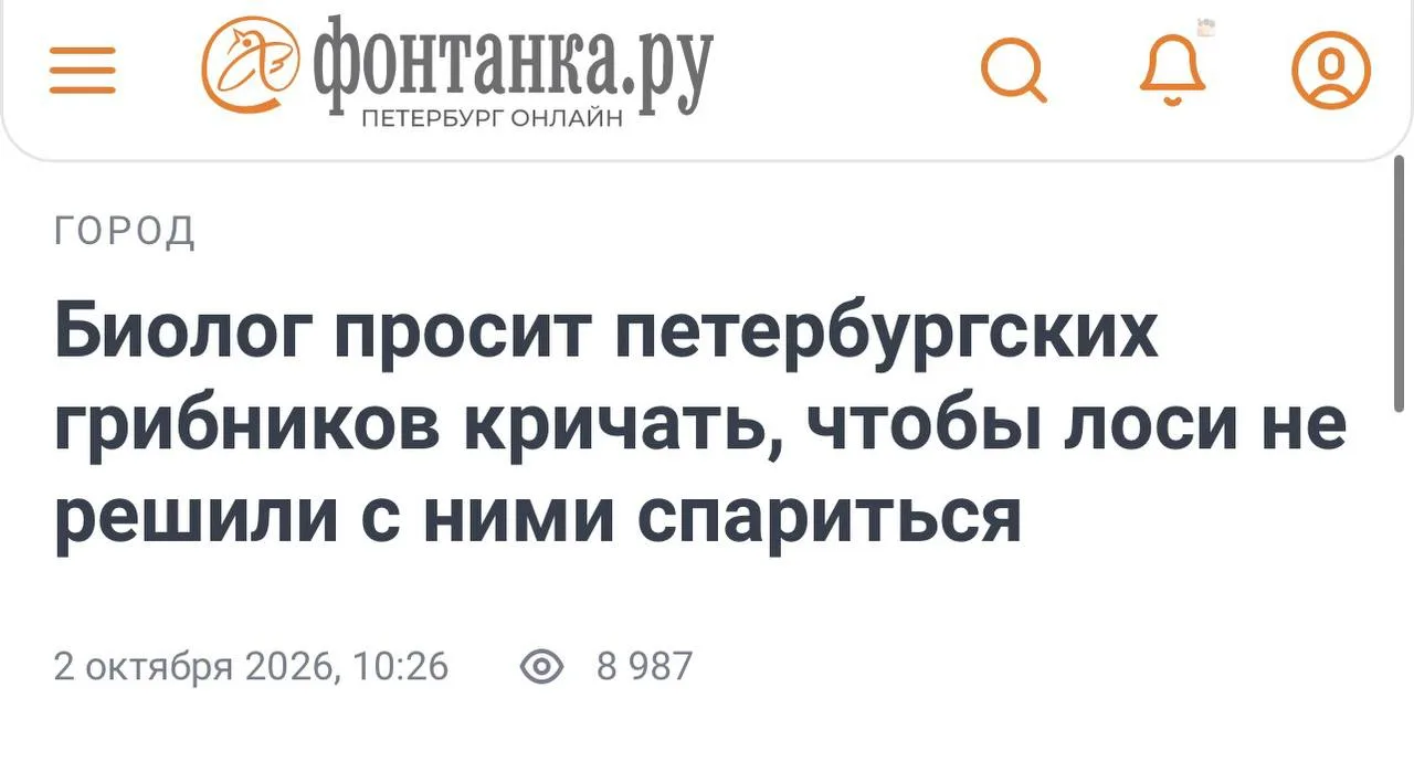 🐱 Кот из Люберец волнуется за петербуржцев