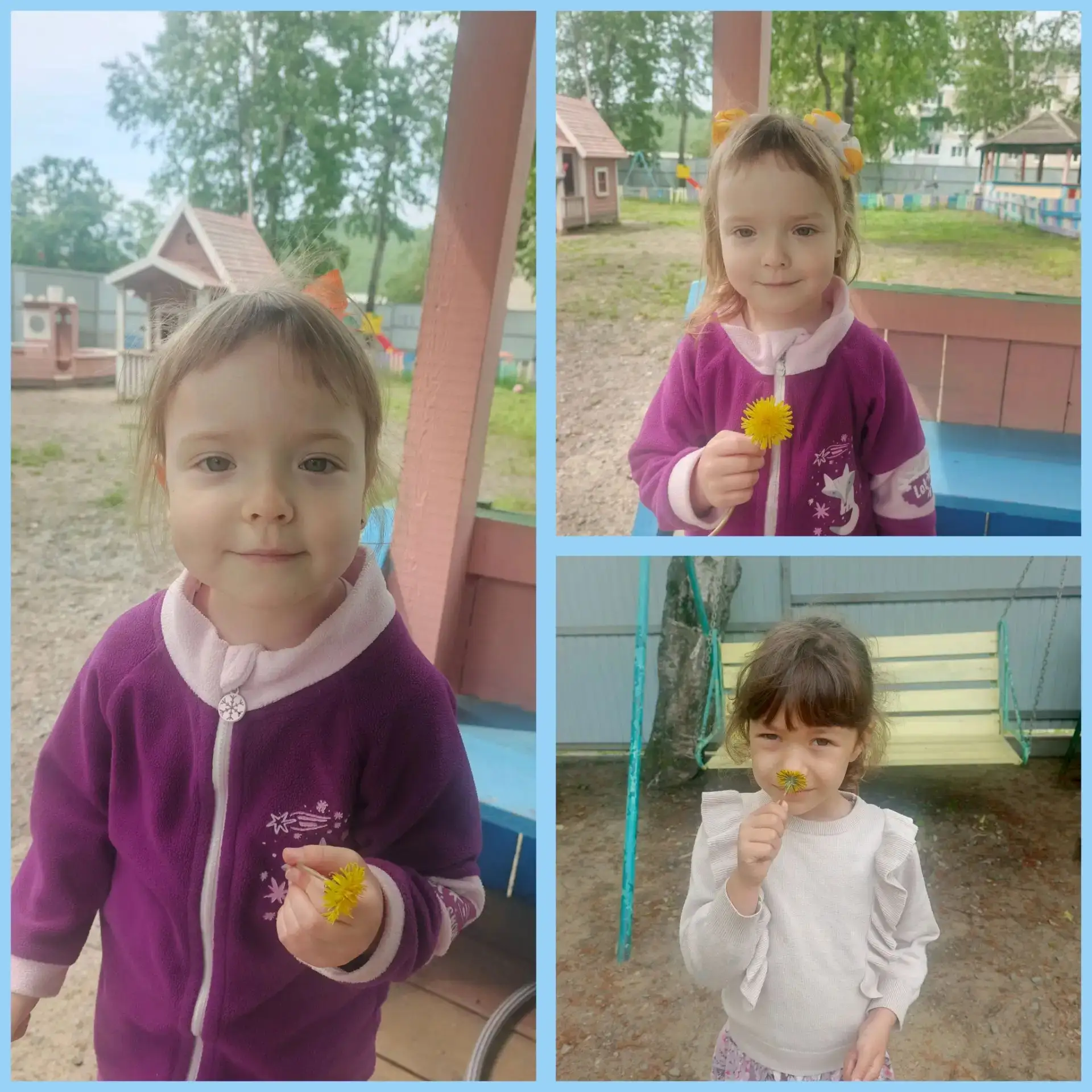 😀Одуванчик — удивительный цветок, который радует нас не только желтым, но и воздушным белым нарядом