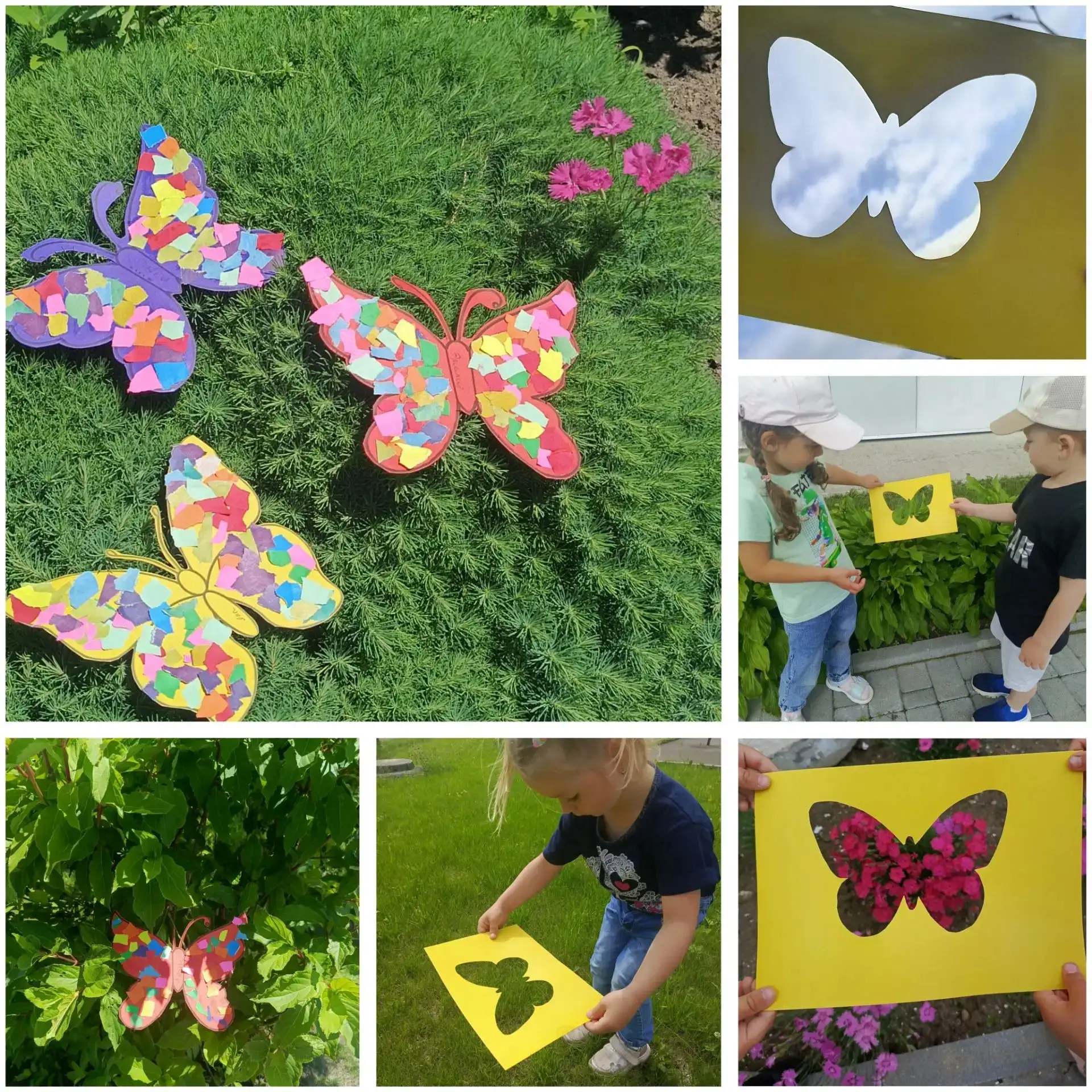 А вы знаете, где живут бабочки? Мы знаем! 🦋😄

Сегодня у ребят второй младшей группы был ОЧЕНЬ заня