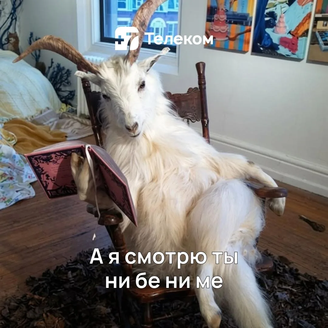 Когда друг не понимает, что подключить домашний интернет и мобильную связь одним тарифом – выгоднее…