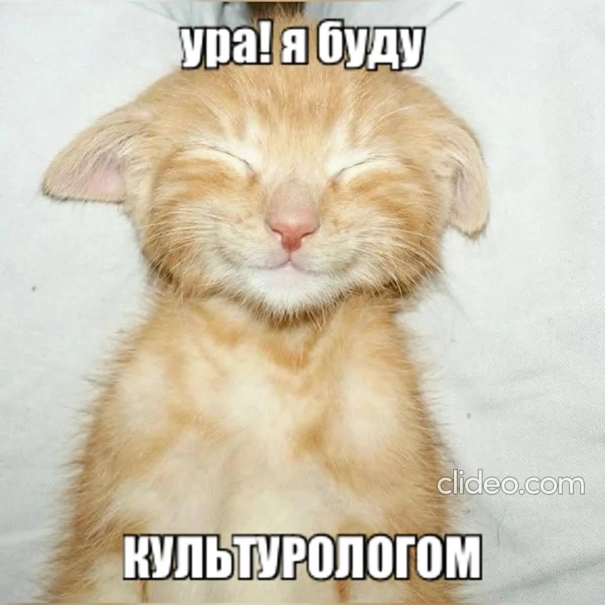 Дорогие АБИТУРИЕНТЫ, поступающие на БАКАЛАВРИАТ! 💖