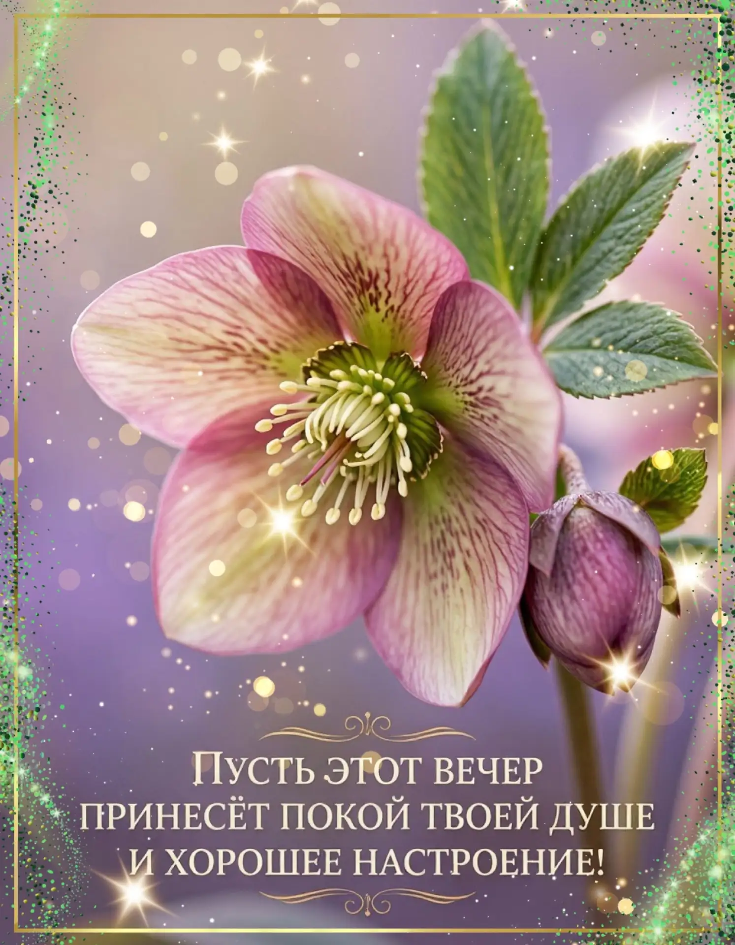 Больше контента для тебя и твоих близких