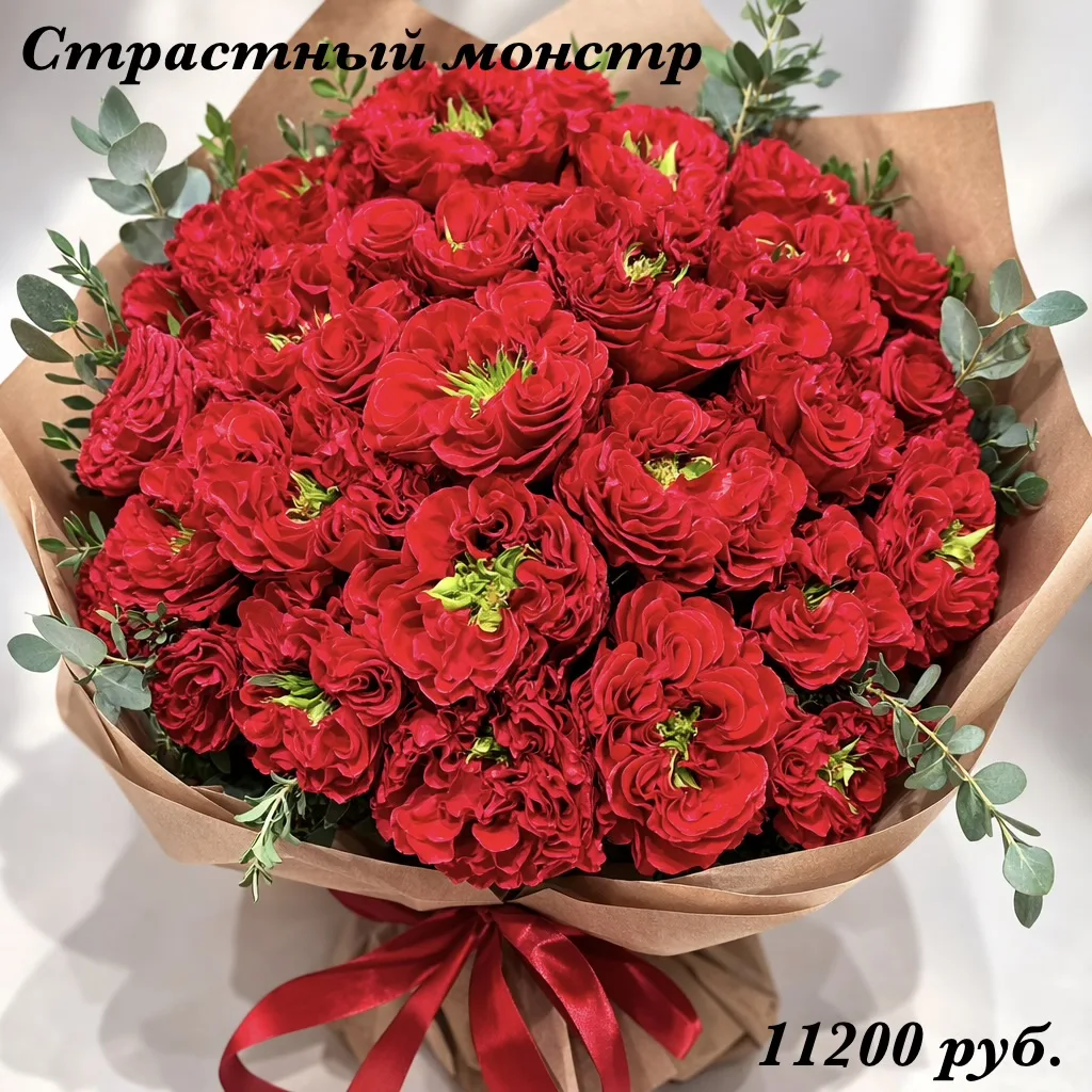 🌹🌹 Знакомы ли вы с королевой среди роз — "Красный Монстр"? Не дайте обмануть себя зло...