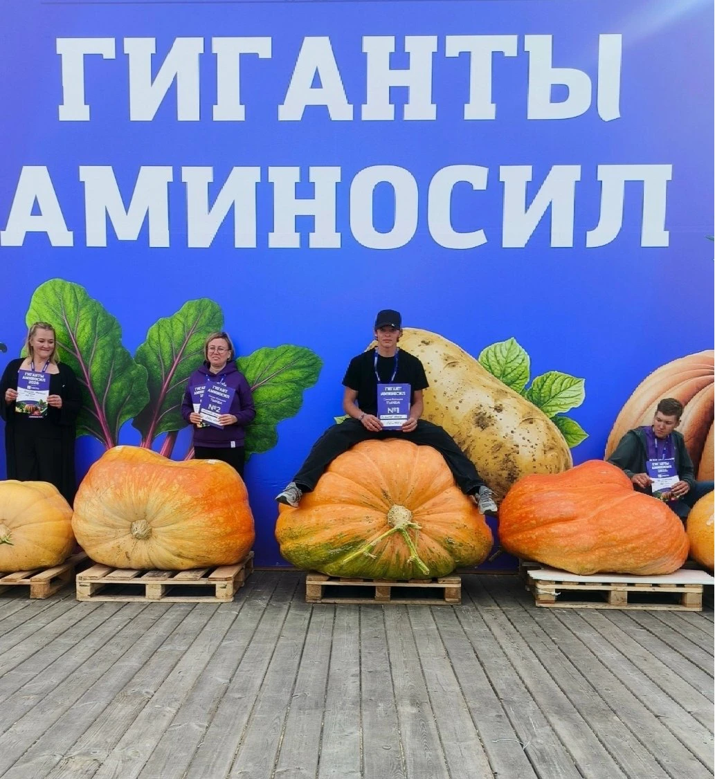 🔥 Смотрите, эта тыковка принесла нашему земляку победу на всероссийском уровне.